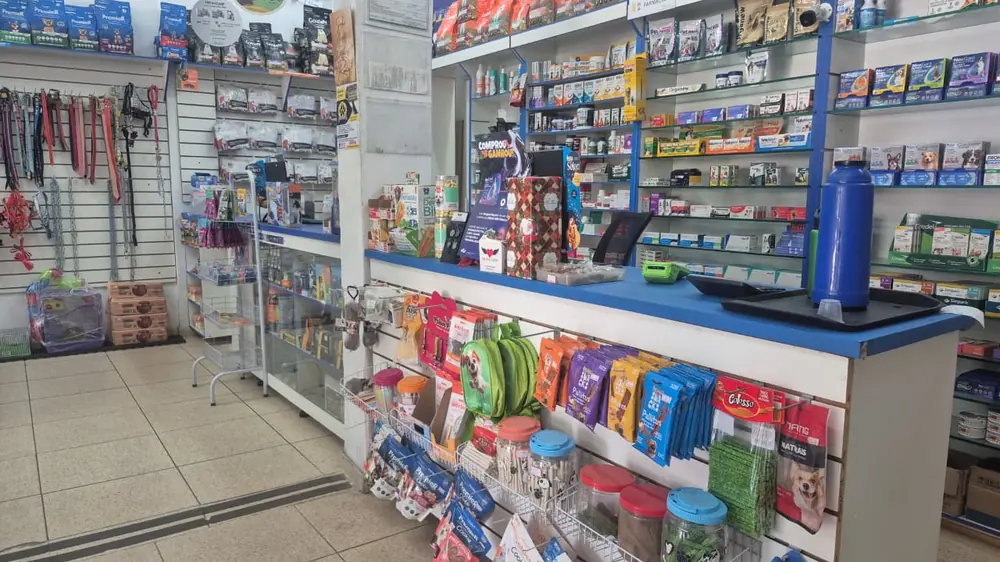 Balcão da Inova Pet com coleiras, guias e acessórios