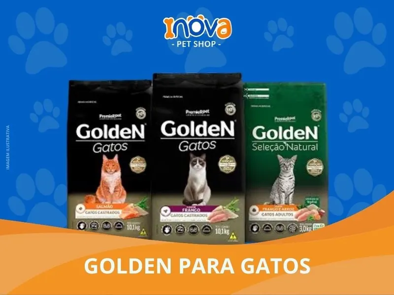 Golden Gatos, Inova Pet