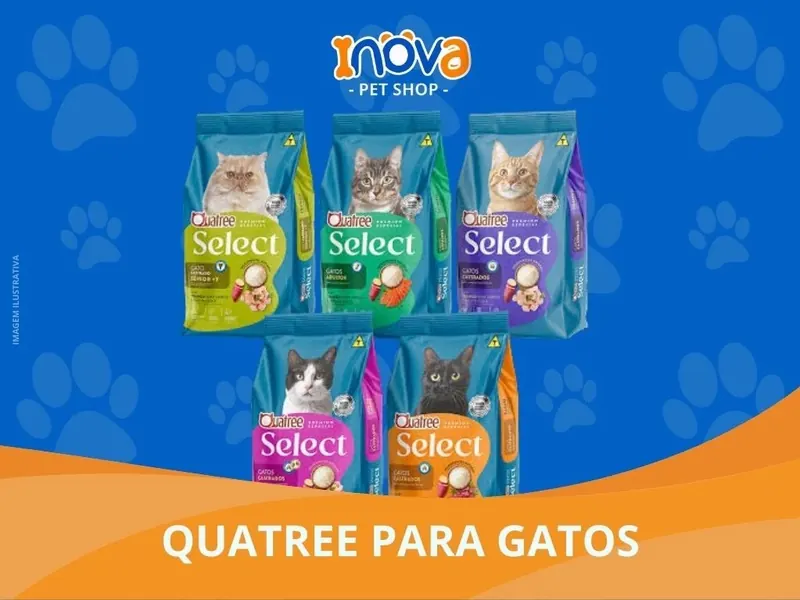 Quatree Gatos, Inova Pet